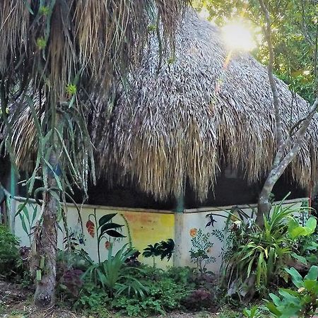 Hotel La Casa De Los Ninos Del Arbol Bacalar Exterior foto