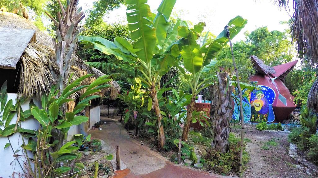 Hotel La Casa De Los Ninos Del Arbol Bacalar Exterior foto